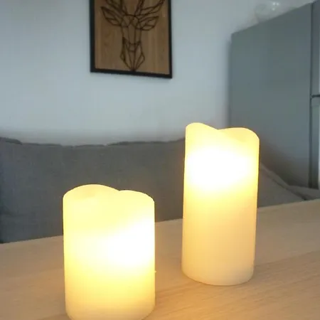 Apartment Le Perce-neige Centre Station *